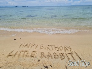 Happy Birthday, Little Rabbit!
